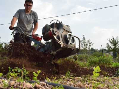 Silverio Liso impegnato nell'aratura di un terreno di sua propriet� nell'agro di Andria
